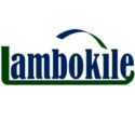 Lambokile Company Limited